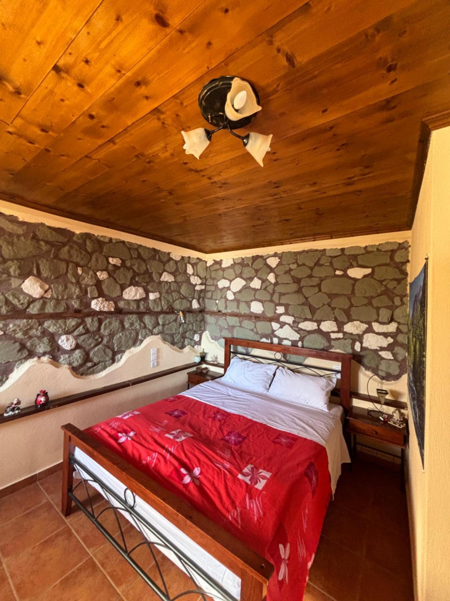 Πέτρινο Όραμα Hotel Kotronion  Exterior photo
